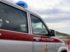 Двое суток ареста получил нетрезвый иностранец, незаконно проникший на территорию предприятия в Палатке