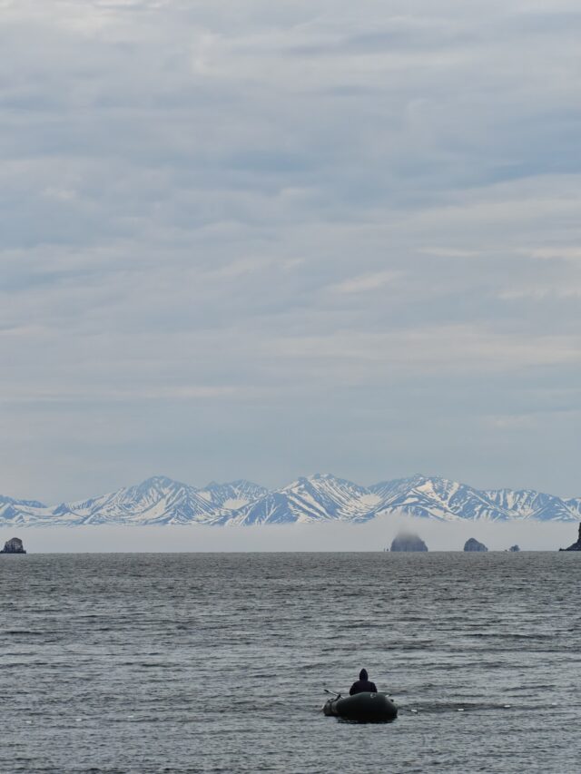 IMG_20260622_163418_895