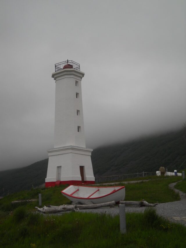 IMG_20260710_164024_064