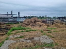У магаданского фермера в хозяйстве нашли нарушения правил содержания скота