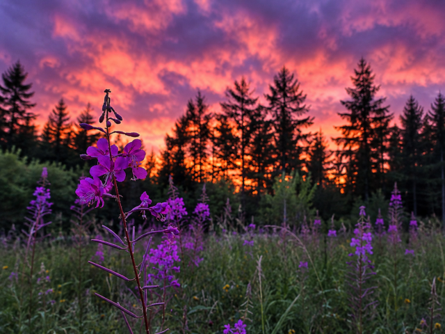 ChatGPT Image 9 авг. 2026 г., 13_16_45