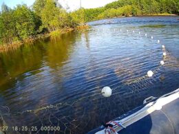 На Колыме изъяли 35 кг незаконно выловленной рыбы